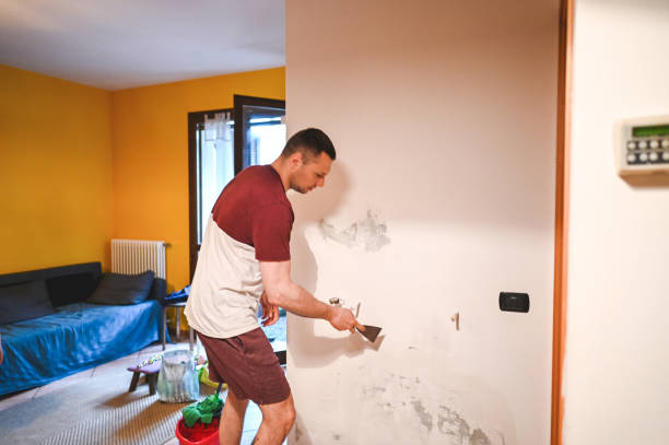 Best Mold Remediation for Specific Building Types in , MA
